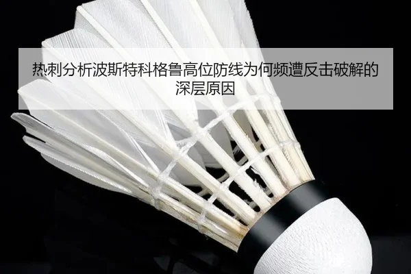 re-ci-fen-xi-bo-si-te-ke-ge-lu-gao-wei-fang-xian-wei-he-pin-zao-fan-ji-po-jie-de-shen-ceng-yuan-yin-2-393.jpg