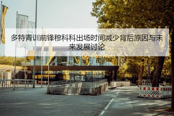 多特青训前锋穆科科出场时间减少背后原因与未来发展讨论